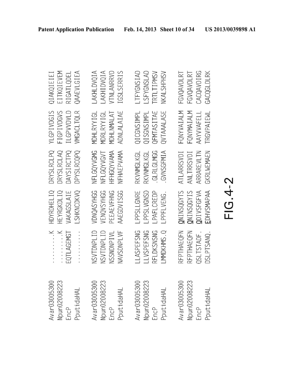 COMPOSITIONS OF PROKARYOTIC PHENYLALANINE AMMONIA-LYASE VARIANTS AND     METHODS OF USING COMPOSITIONS THEREOF - diagram, schematic, and image 11