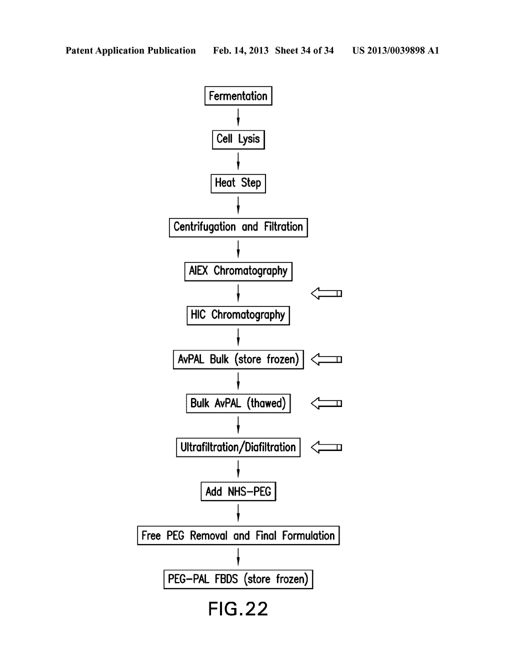 COMPOSITIONS OF PROKARYOTIC PHENYLALANINE AMMONIA-LYASE VARIANTS AND     METHODS OF USING COMPOSITIONS THEREOF - diagram, schematic, and image 35