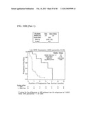 PREDICTING RESPONSE TO A HER INHIBITOR diagram and image