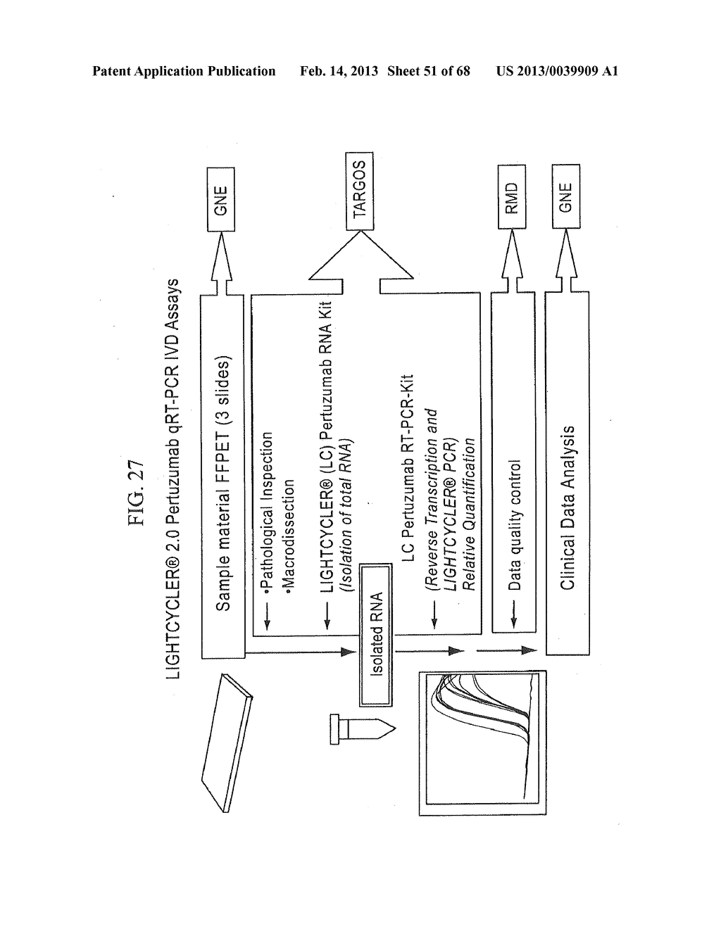 PREDICTING RESPONSE TO A HER INHIBITOR - diagram, schematic, and image 52