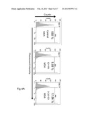 DIAGNOSTIC AND THERAPEUTIC TARGET diagram and image