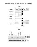 Pharmaceutical Composition Using Connective-tissue Growth Factor diagram and image