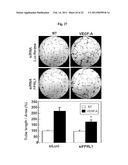 Pharmaceutical Composition Using Connective-tissue Growth Factor diagram and image