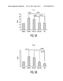 ADULT STEM CELLS/PROGENITOR CELLS AND STEM CELL PROTEINS FOR TREATMENT OF     EYE INJURIES AND DISEASES diagram and image