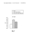 ADULT STEM CELLS/PROGENITOR CELLS AND STEM CELL PROTEINS FOR TREATMENT OF     EYE INJURIES AND DISEASES diagram and image