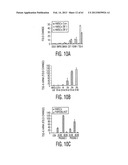 ADULT STEM CELLS/PROGENITOR CELLS AND STEM CELL PROTEINS FOR TREATMENT OF     EYE INJURIES AND DISEASES diagram and image