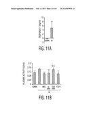 ADULT STEM CELLS/PROGENITOR CELLS AND STEM CELL PROTEINS FOR TREATMENT OF     EYE INJURIES AND DISEASES diagram and image