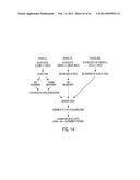 ADULT STEM CELLS/PROGENITOR CELLS AND STEM CELL PROTEINS FOR TREATMENT OF     EYE INJURIES AND DISEASES diagram and image