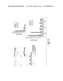 ADULT STEM CELLS/PROGENITOR CELLS AND STEM CELL PROTEINS FOR TREATMENT OF     EYE INJURIES AND DISEASES diagram and image