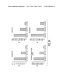 ADULT STEM CELLS/PROGENITOR CELLS AND STEM CELL PROTEINS FOR TREATMENT OF     EYE INJURIES AND DISEASES diagram and image