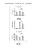 ADULT STEM CELLS/PROGENITOR CELLS AND STEM CELL PROTEINS FOR TREATMENT OF     EYE INJURIES AND DISEASES diagram and image