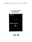 ADULT STEM CELLS/PROGENITOR CELLS AND STEM CELL PROTEINS FOR TREATMENT OF     EYE INJURIES AND DISEASES diagram and image