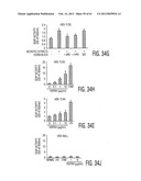 ADULT STEM CELLS/PROGENITOR CELLS AND STEM CELL PROTEINS FOR TREATMENT OF     EYE INJURIES AND DISEASES diagram and image