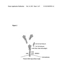 TREATMENT OF IGE-MEDIATED DISEASE diagram and image