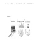 TREATMENT OF IGE-MEDIATED DISEASE diagram and image