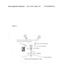 TREATMENT OF IGE-MEDIATED DISEASE diagram and image