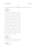 INDUCTION OF TUMOR IMMUNITY BY VARIANTS OF FOLATE BINDING PROTEIN diagram and image