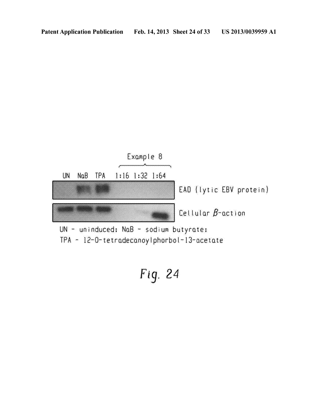 METHOD OF INHIBITING HIV AND BARRIER-FORMING COMPOSITION THEREFOR - diagram, schematic, and image 25