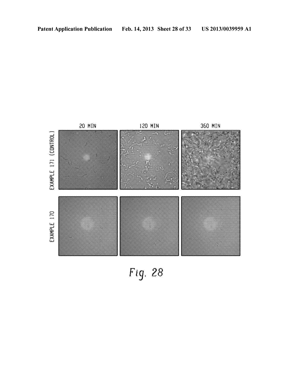 METHOD OF INHIBITING HIV AND BARRIER-FORMING COMPOSITION THEREFOR - diagram, schematic, and image 29