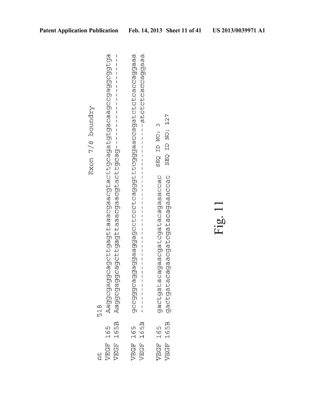 COMPOSITIONS AND METHODS FOR INHIBITION OF VEGF - diagram, schematic, and image 12