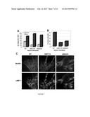 Elimination of N-Glycolylneuraminic Acid From Animal Products For Human     Use diagram and image