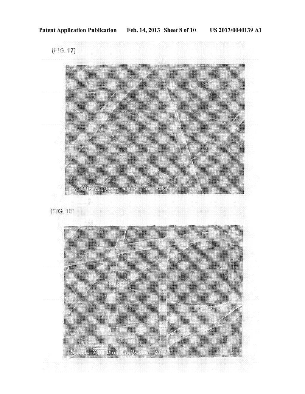 SURFACE-MODIFIED FINE FIBERS - diagram, schematic, and image 09