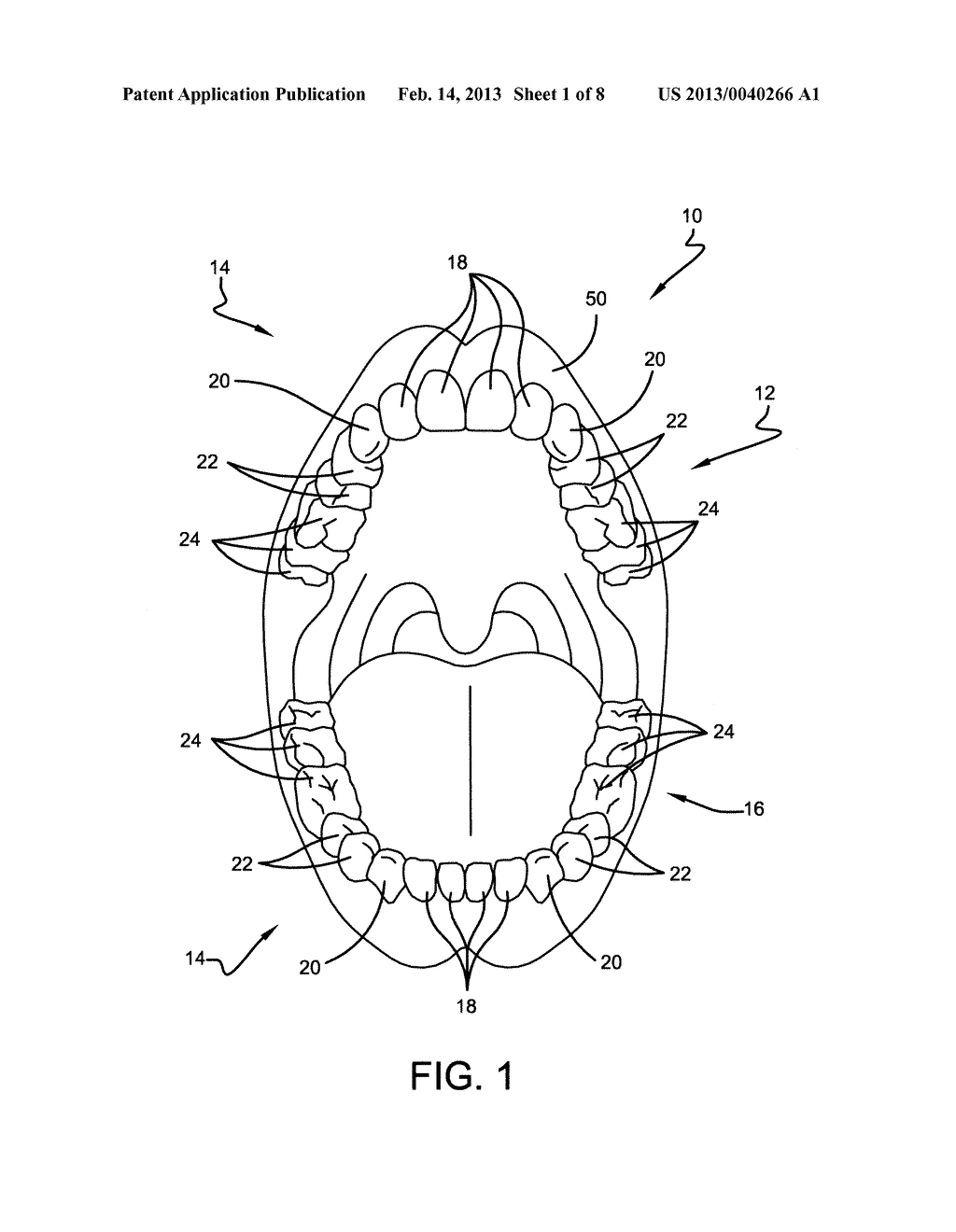 DENTAL APPLIANCE - diagram, schematic, and image 02