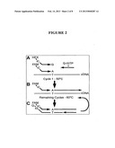 Methods for Detection and Typing of Nucleic Acids diagram and image