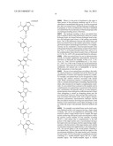 Methods for Detection and Typing of Nucleic Acids diagram and image