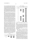 Methods for Detection and Typing of Nucleic Acids diagram and image