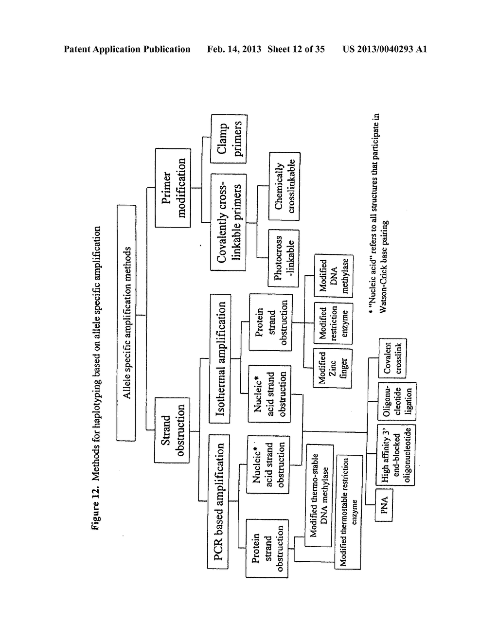 METHODS FOR GENETIC ANALYSIS OF DNA TO DETECT SEQUENCE VARIANCES - diagram, schematic, and image 13