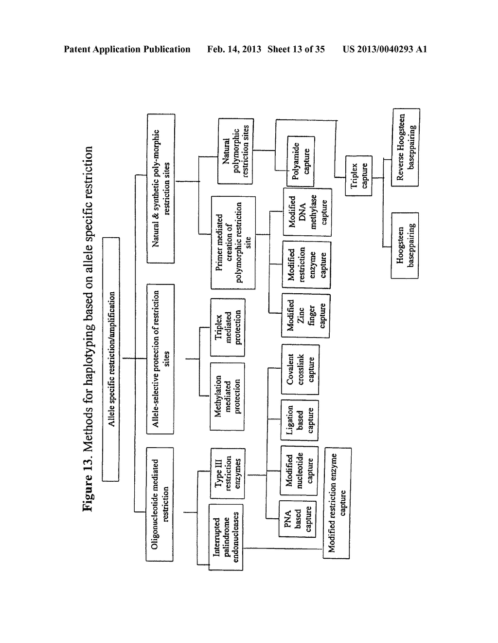 METHODS FOR GENETIC ANALYSIS OF DNA TO DETECT SEQUENCE VARIANCES - diagram, schematic, and image 14