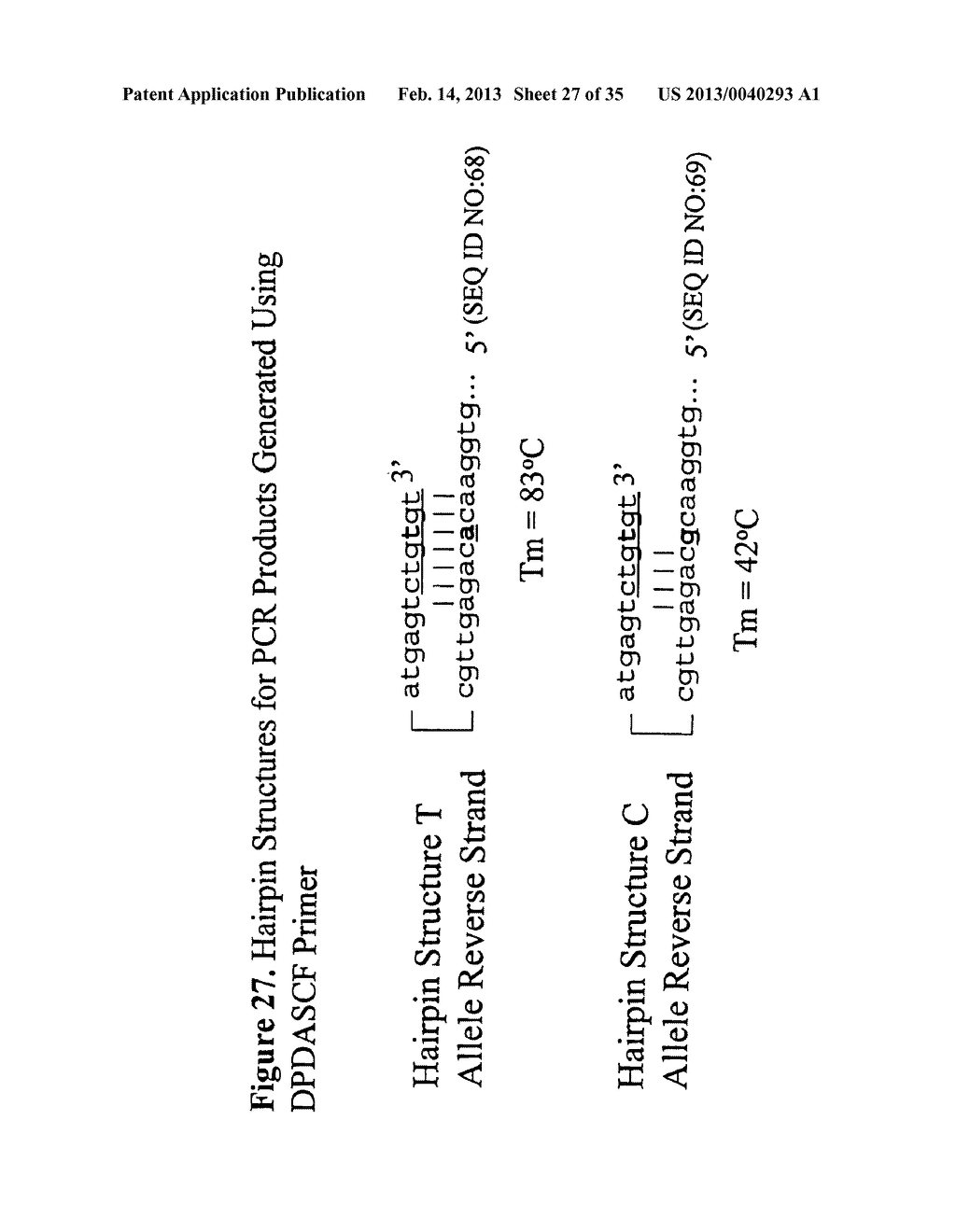 METHODS FOR GENETIC ANALYSIS OF DNA TO DETECT SEQUENCE VARIANCES - diagram, schematic, and image 28