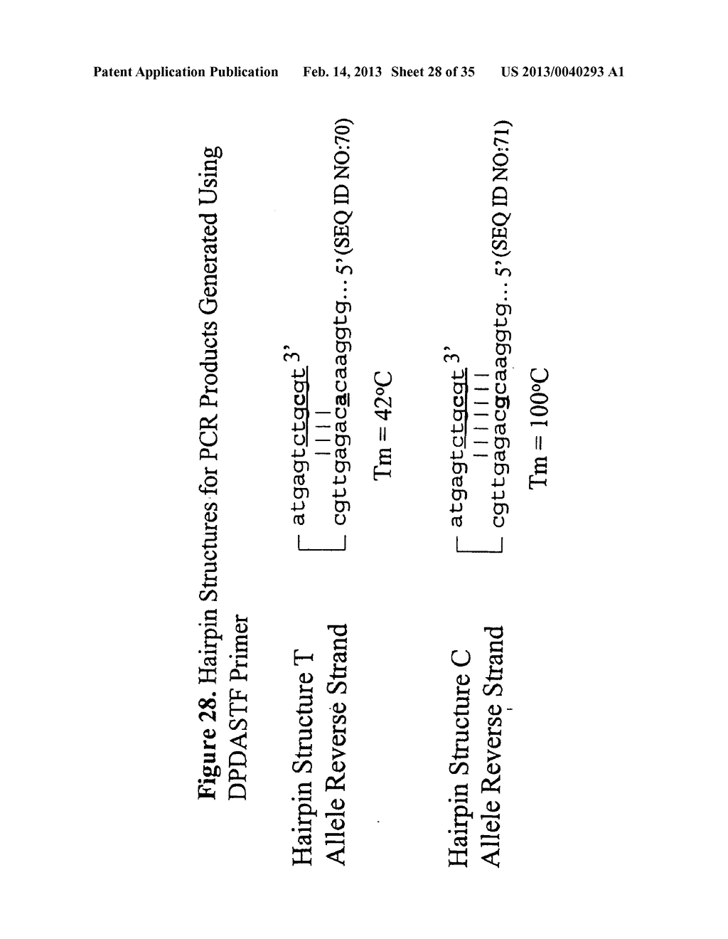 METHODS FOR GENETIC ANALYSIS OF DNA TO DETECT SEQUENCE VARIANCES - diagram, schematic, and image 29