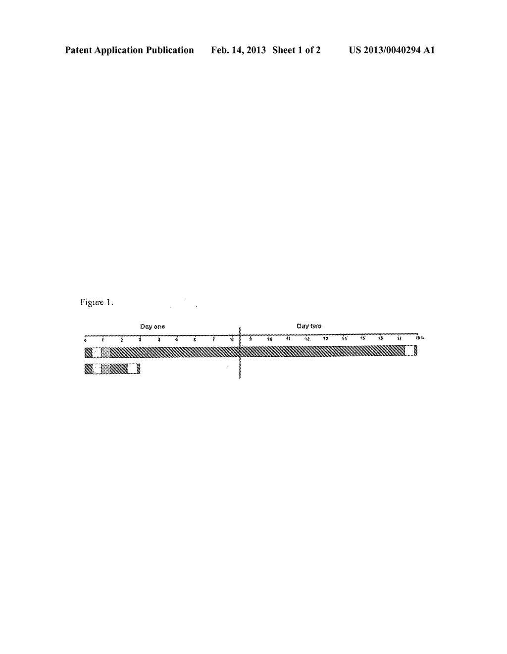 COMPOSITIONS AND METHODS FOR PERFORMING HYBRIDIZATIONS WITH NO     DENATURATION - diagram, schematic, and image 02