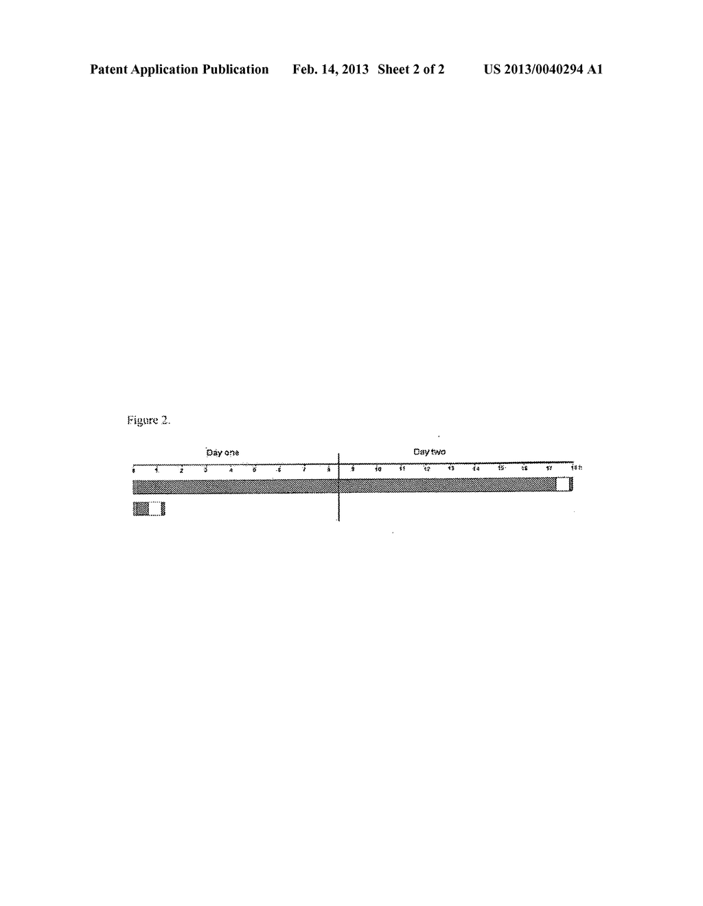 COMPOSITIONS AND METHODS FOR PERFORMING HYBRIDIZATIONS WITH NO     DENATURATION - diagram, schematic, and image 03