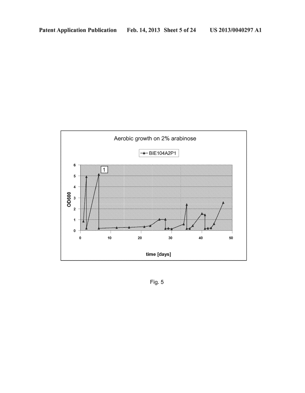 PROCESS FOR THE PRODUCTION OF CELLS WHICH ARE CAPABLE OF CONVERTING     ARABINOSE - diagram, schematic, and image 06