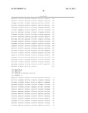 PROCESS FOR THE PRODUCTION OF CELLS WHICH ARE CAPABLE OF CONVERTING     ARABINOSE diagram and image