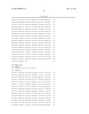 PROCESS FOR THE PRODUCTION OF CELLS WHICH ARE CAPABLE OF CONVERTING     ARABINOSE diagram and image