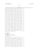 PROCESS FOR THE PRODUCTION OF CELLS WHICH ARE CAPABLE OF CONVERTING     ARABINOSE diagram and image