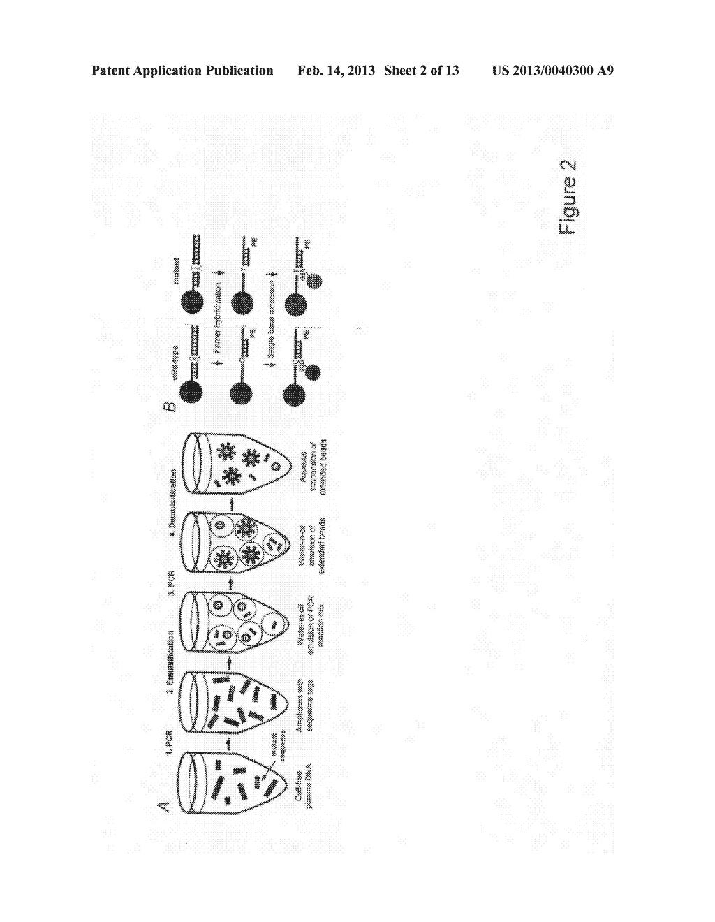 Methods for Beaming - diagram, schematic, and image 03