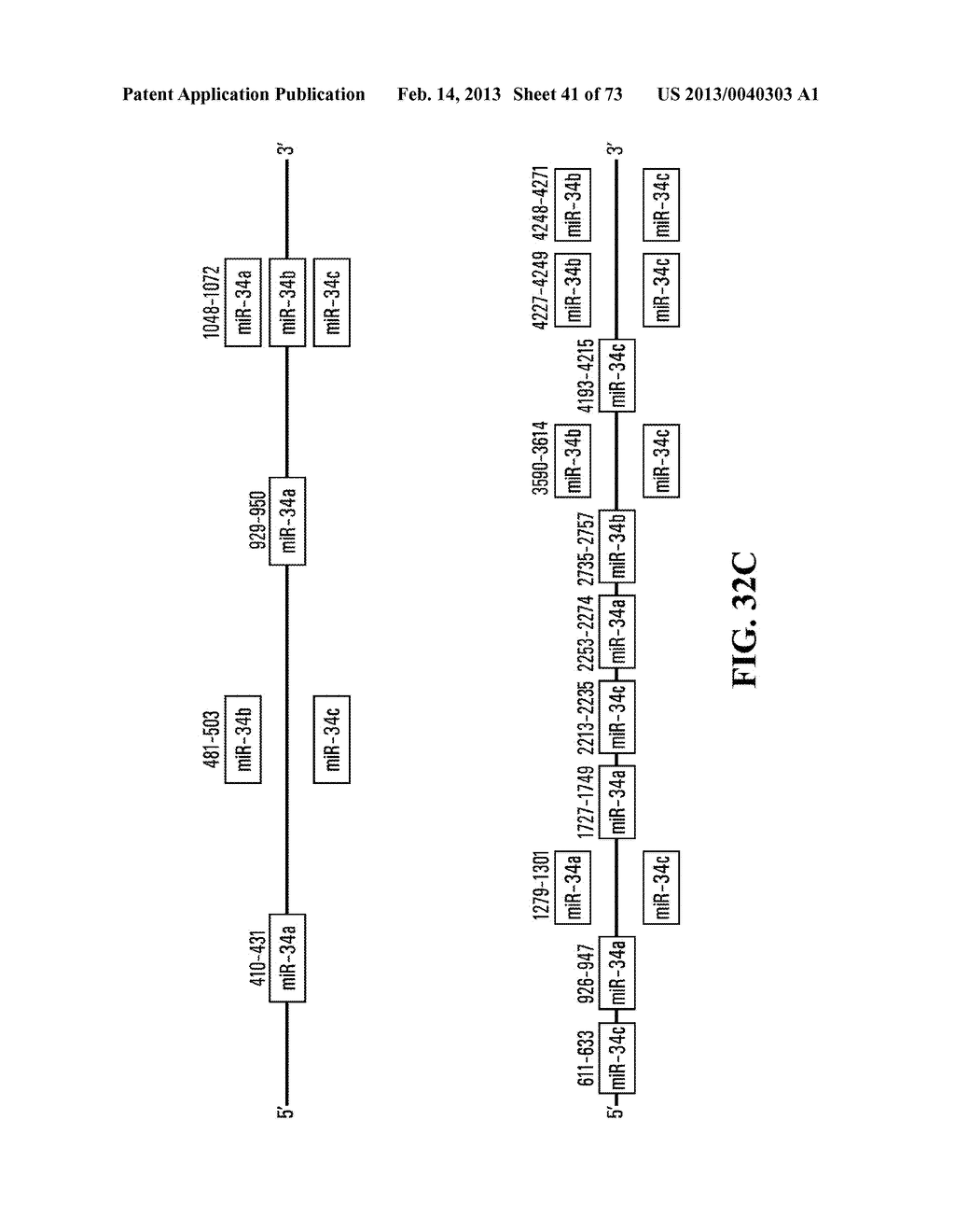 Biomarker for Alzheimer's Disease and/or Mild Cognitive Impairment, and     Use Thereof - diagram, schematic, and image 42