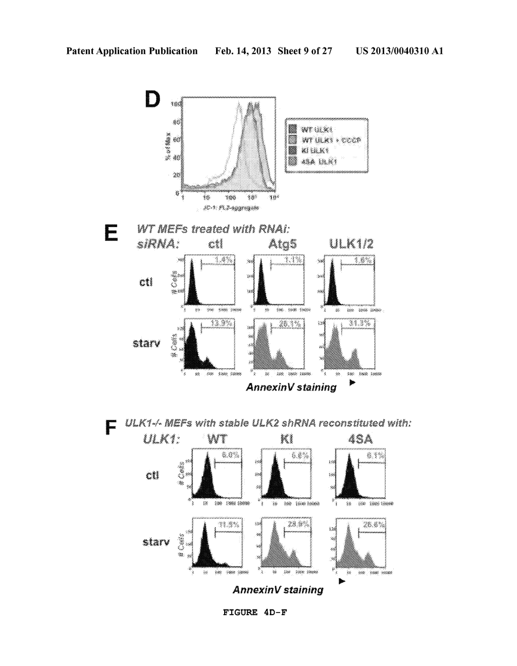 ULK1 COMPOSITIONS, INHIBITORS, SCREENING AND METHODS OF USE - diagram, schematic, and image 10