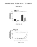 CELL LINES COMPRISING ENDOGENOUS TASTE RECEPTORS AND THEIR USES diagram and image