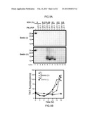 DETECTION OF INFECTIOUS PRION PROTEIN BY SEEDED CONVERSION OF RECOMBINANT     PRION PROTEIN diagram and image