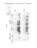 DETECTION OF INFECTIOUS PRION PROTEIN BY SEEDED CONVERSION OF RECOMBINANT     PRION PROTEIN diagram and image