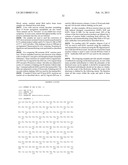 DETECTION OF INFECTIOUS PRION PROTEIN BY SEEDED CONVERSION OF RECOMBINANT     PRION PROTEIN diagram and image