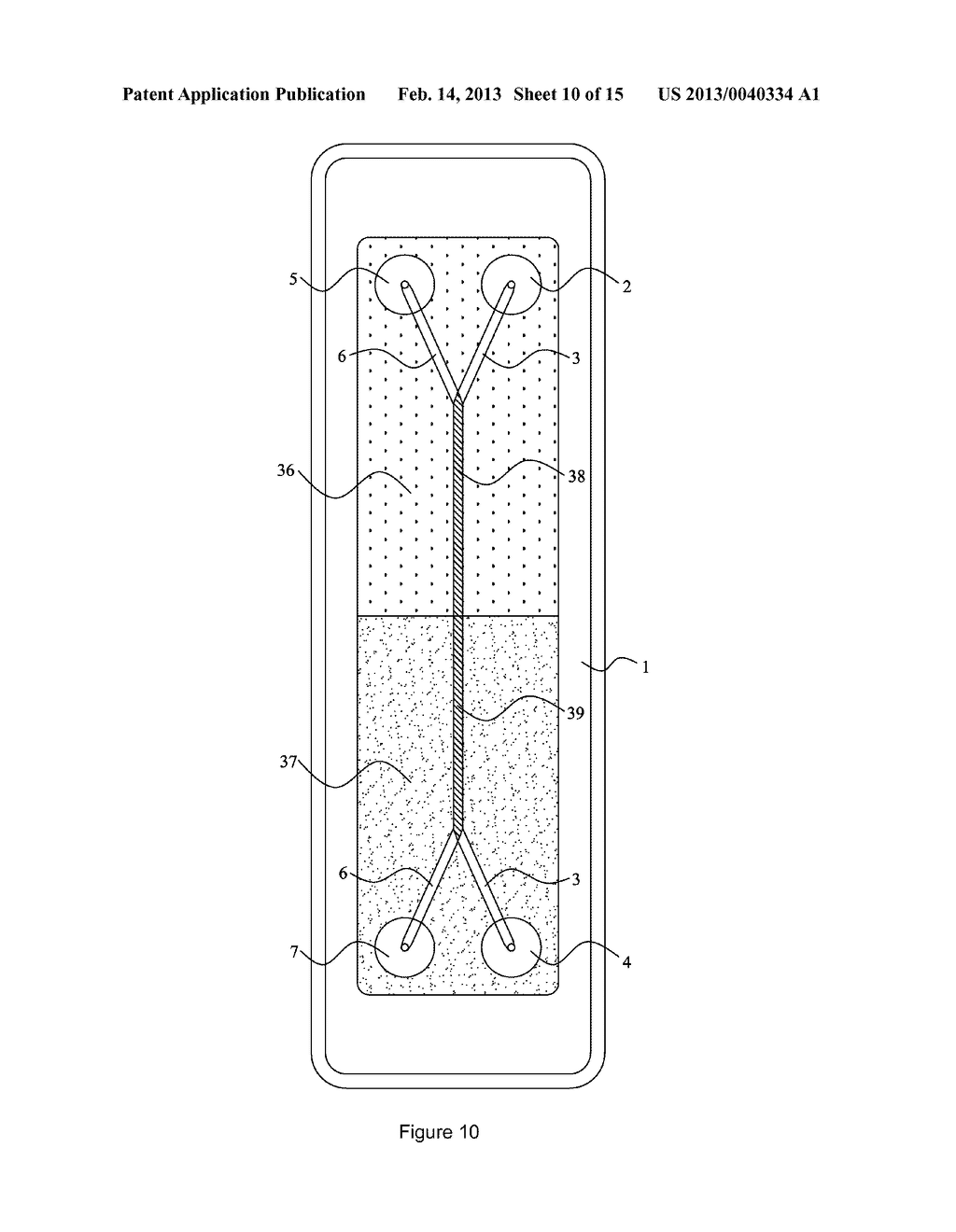 BIOCHIP ASSEMBLY AND ASSAY METHOD THEREOF - diagram, schematic, and image 11