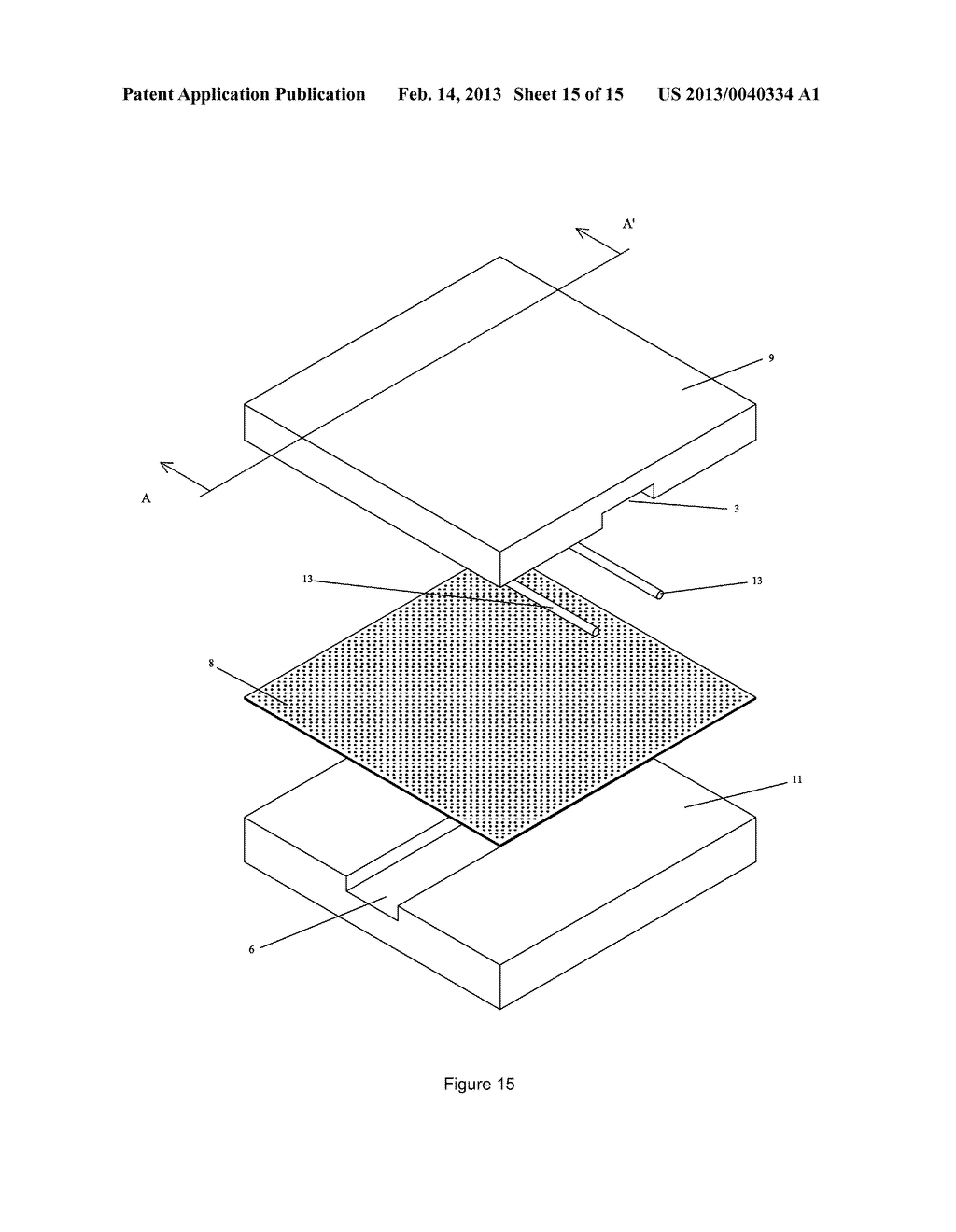 BIOCHIP ASSEMBLY AND ASSAY METHOD THEREOF - diagram, schematic, and image 16