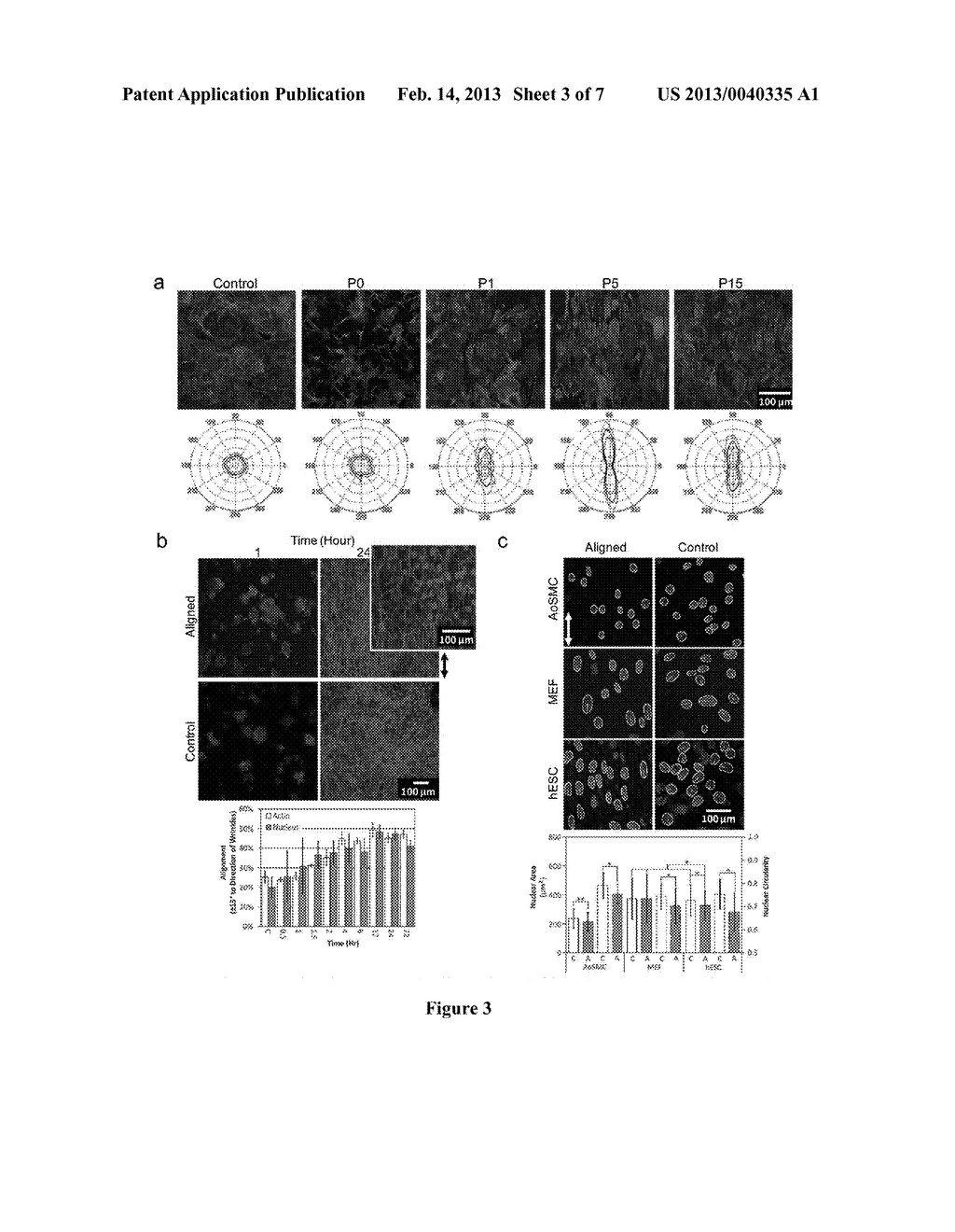 MULTI-SCALE WRINKLES FOR FUNCTIONAL ALIGNMENT OF STEM CELLS AND CARDIAC     DERIVATIVES - diagram, schematic, and image 04